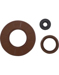 OIL SEAL SKI DOO