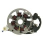 ALTERNATOR ROTOR VERS 4