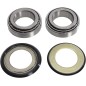 BEARING KTSTRGSTM H21-000