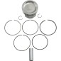 PISTON KIT POL800/RZR