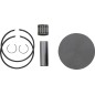 PISTON KIT CAST ARTIC CAT