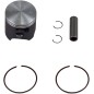 PISTON KIT 24106AB