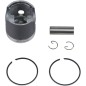 PISTON KIT 24106AB