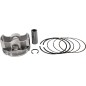 PISTON KIT 24502B STD