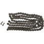 JT 428 HDR CHAIN STL 118L