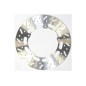 BRAKE ROTOR FIX D SERIES SCT