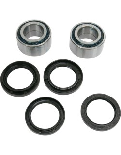 RR WHEEL BRG KIT AC