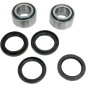 RR WHEEL BRG KIT AC