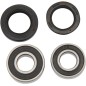 REAR WHEEL BRG KIT