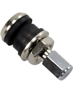 VALVE STEM