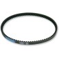BELT TRAN 18.5X9X814