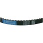 BELT TRAN 18.5X9X814
