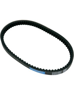 BELT TRAN 22.5X10.5X812
