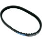 BELT TRAN 22.5X10.5X812
