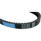 BELT TRAN 22.5X10.5X812
