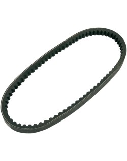 BELT TRAN 20X10X800   