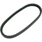 BELT TRAN 20X10X800   
