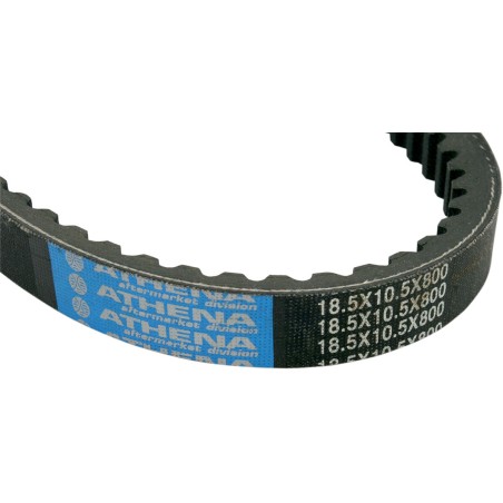 BELT TRAN 20X10X800   