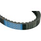 BELT TRAN 20X10X800   