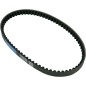 BELT TRAN 18.2X8X720   