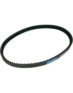 BELT TRAN 22.1X10.2X918