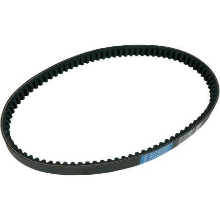BELT TRAN 22.1X10.2X918