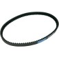 BELT TRAN 22.1X10.2X918