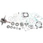 ENGINE KIT YAM WR101-147