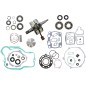 ENGINE KIT KAW WR101-117