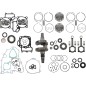 ENGINE KIT KAW WR101-166