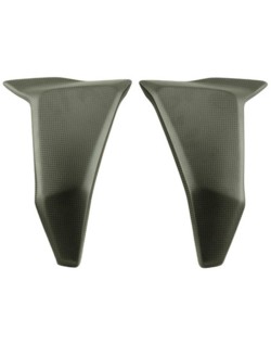 Protection de radiateur latéral LIGHTECH carbone brillant - Ducati Hypermotard 950