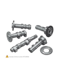 Arbre à cames échappement + admission HOT CAMS - Niveau 1 Suzuki RM-Z450