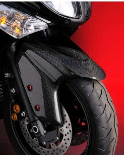 Garde-boue avant LIGHTECH carbone brillant