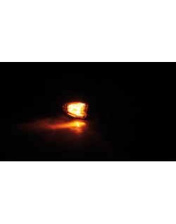 HIGHSIDER smart Halogen flasher LIZZARD, black, yellow glass, 12V/6W