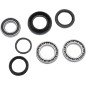 BEARING RR WHL TRX300FW