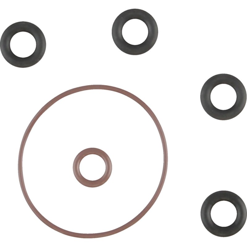 O-RING INDUCTION MODULE KIT 01