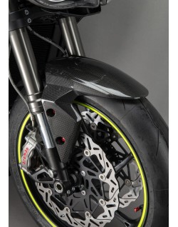 Garde-boue avant LIGHTECH carbone