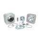 Kit cylindre MALOSSI ø65mm Kit cylindre MALOSSI ø65mm