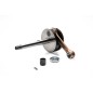 Vilebrequin MALOSSI RHQ axe ø12 mm - course 43 mm Vilebrequin MALOSSI RHQ axe ø12 mm - course 43 mm