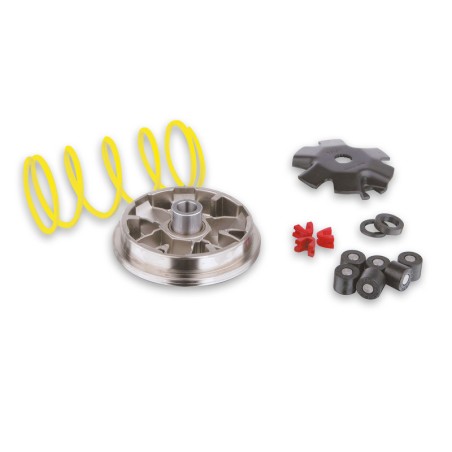 Variateur MALOSSI Multivar