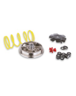 Variateur MALOSSI Multivar