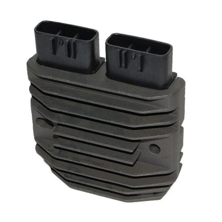 ELECTROSPORT Regulator