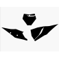 Fonds de plaque BLACKBIRD