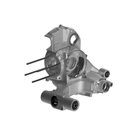 Carter moteur MALOSSI