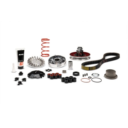 Groupe de transmission complet MALOSSI Over Range MHR aluminium Yamaha/Minarelli