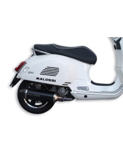 Silencieux MALOSSI RX