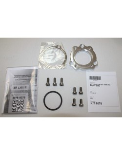 Silencieux IXIL Hexoval Xtrem – côté droit