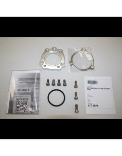 Silencieux IXIL Hexoval Xtrem – côté gauche