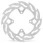 BRAKE DISC FLAME REAR SX65 202