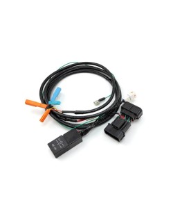 DENALI DialDim™ Kit DL9 Amber Lens